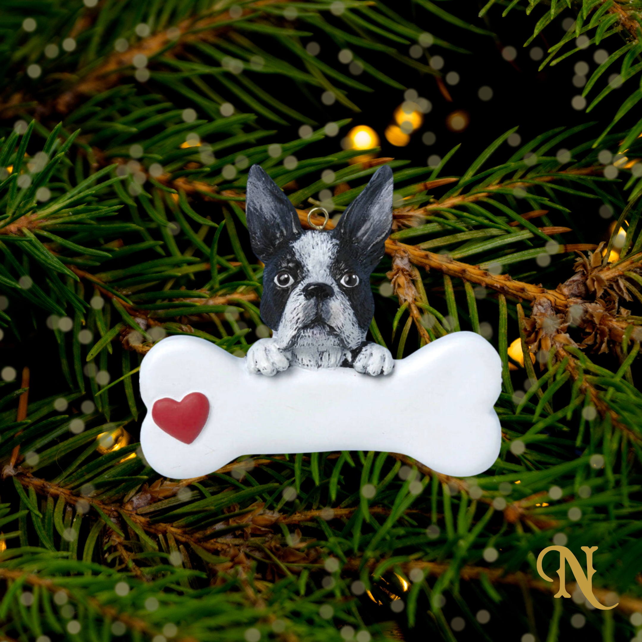 Boston Terrier