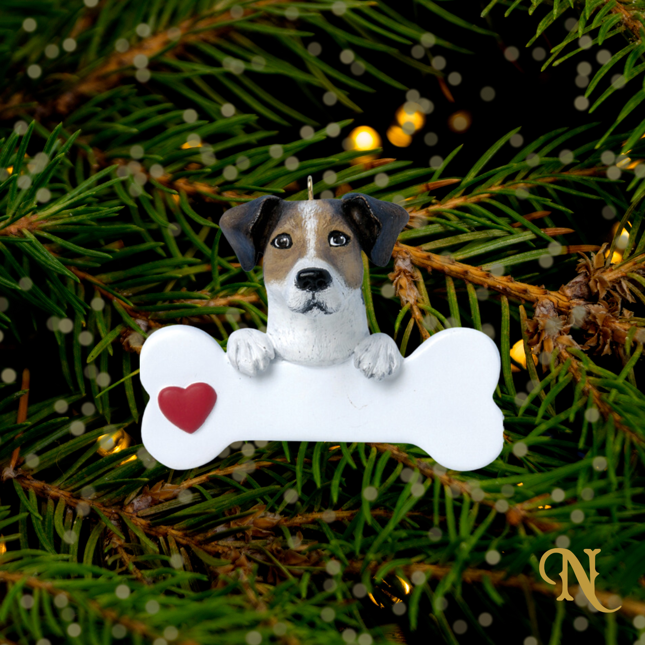 Jack Russell Terrier