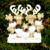 Reindeer Family Of Seven
