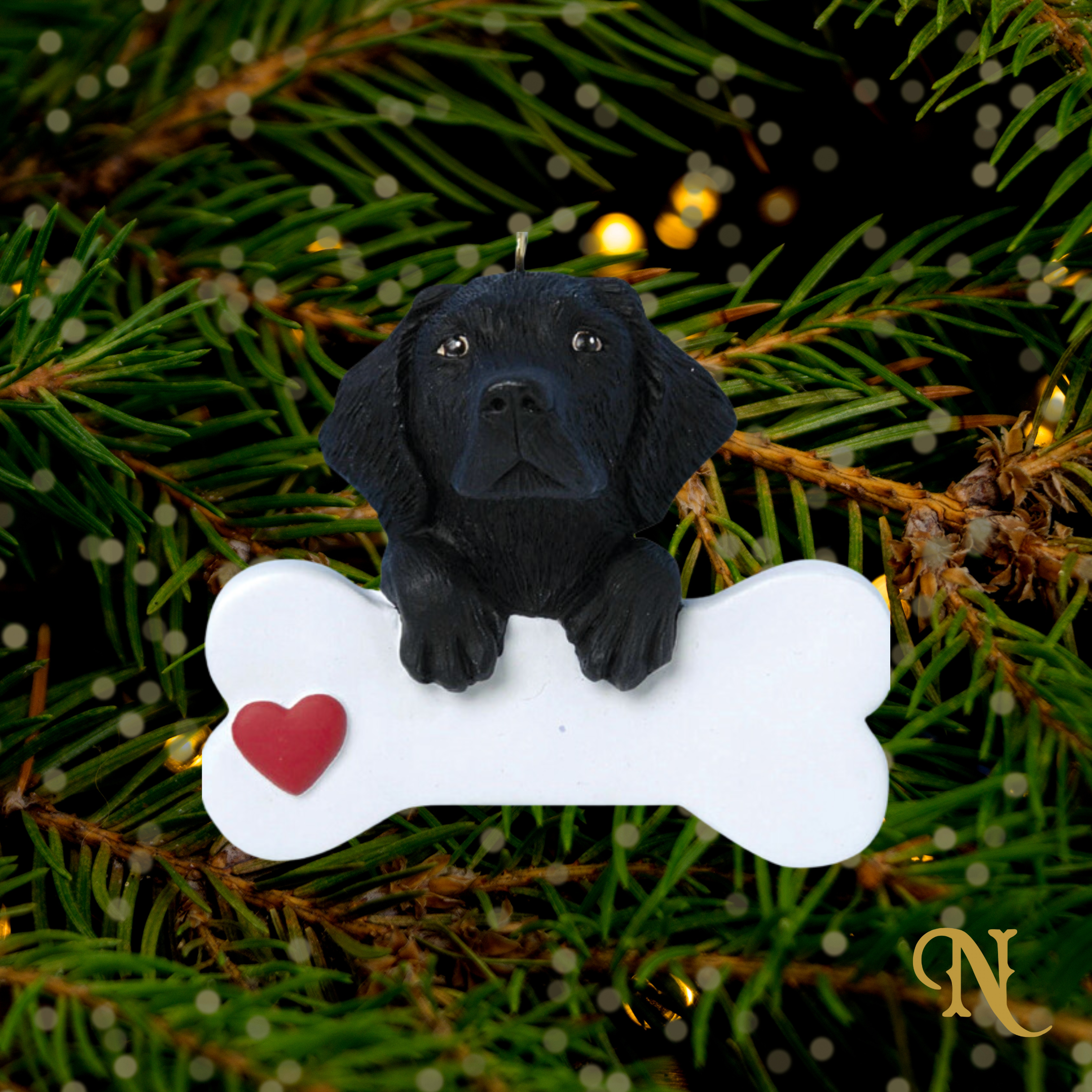 Black Labrador