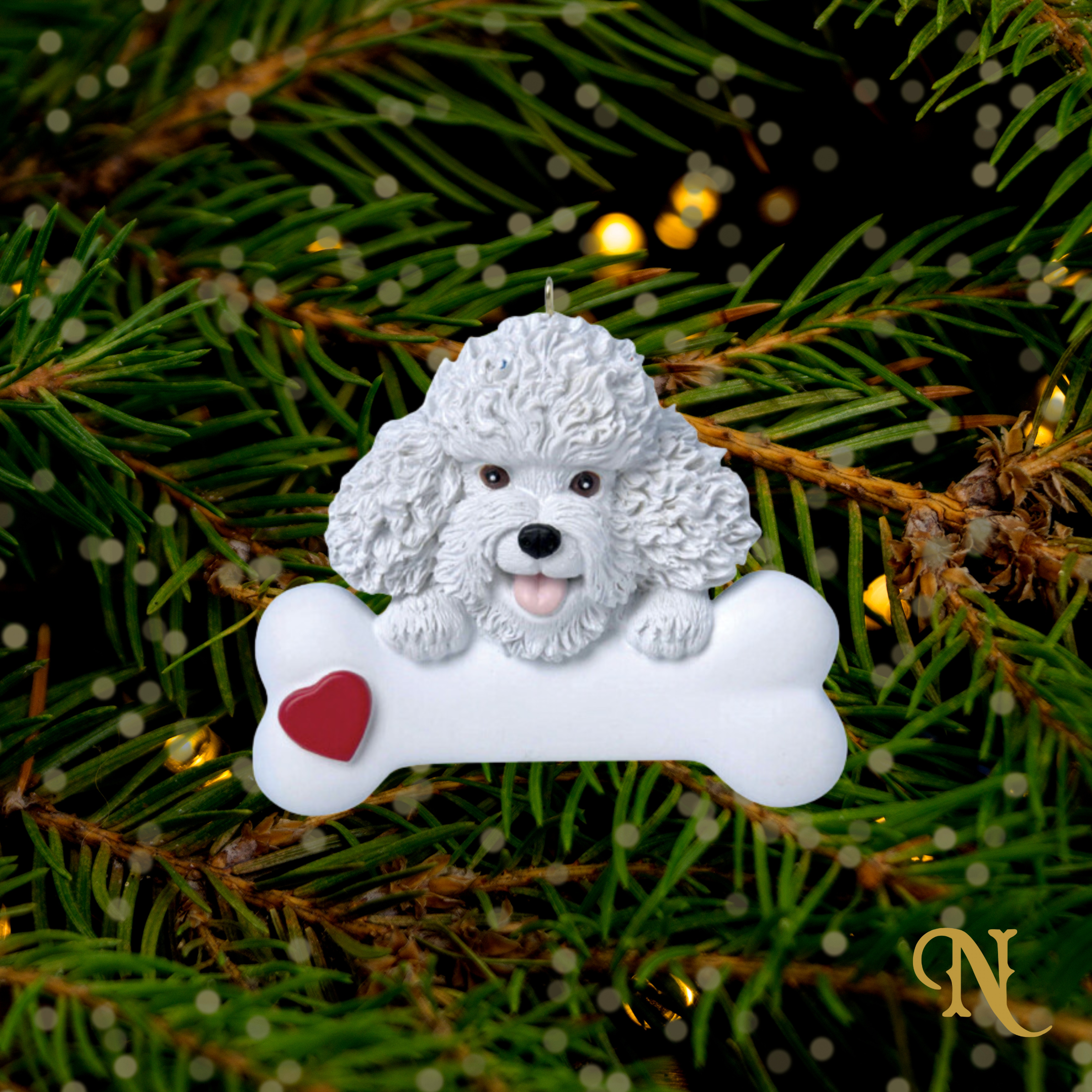 Bichon Frise