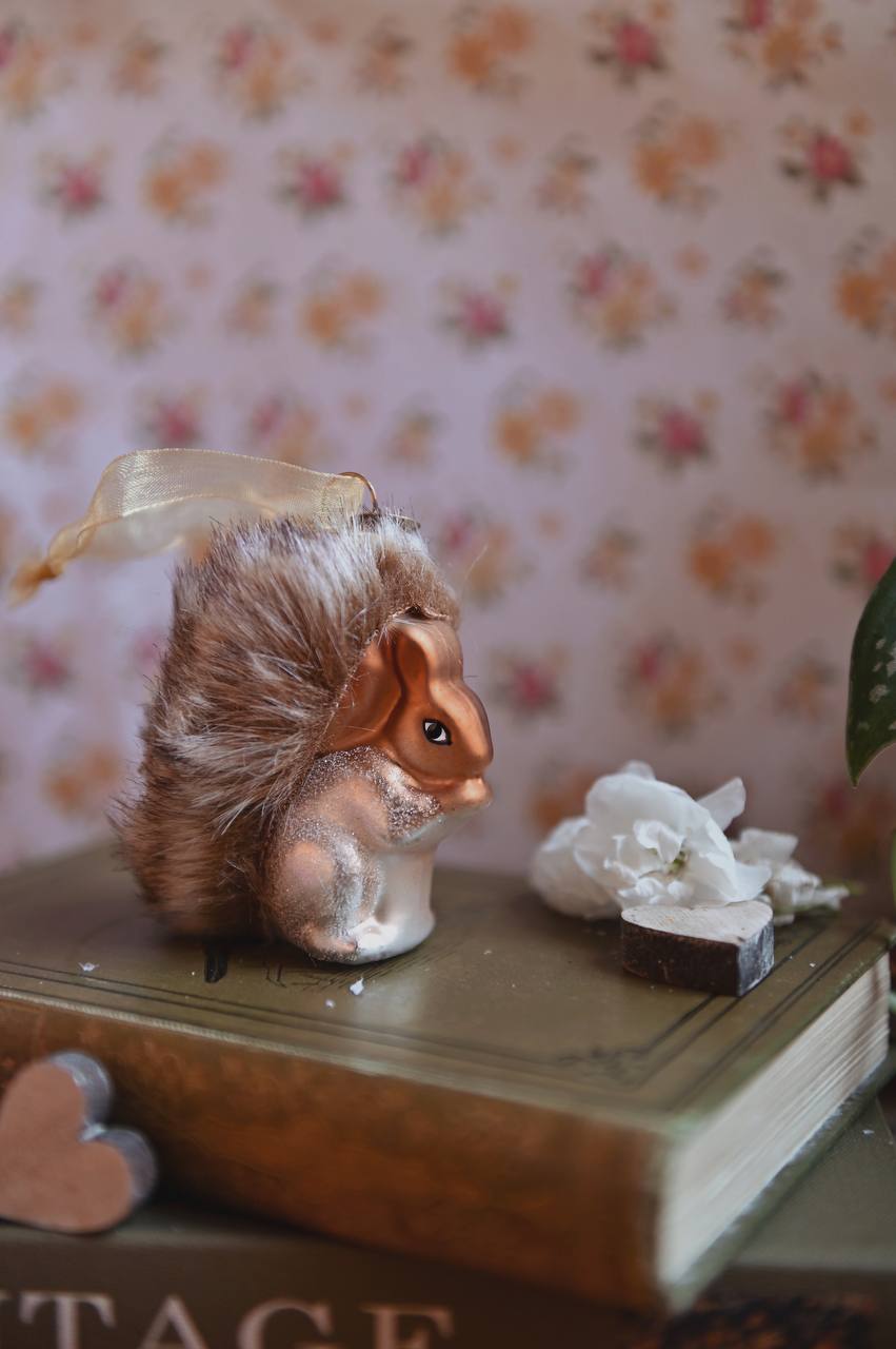 Two Little Squirrels